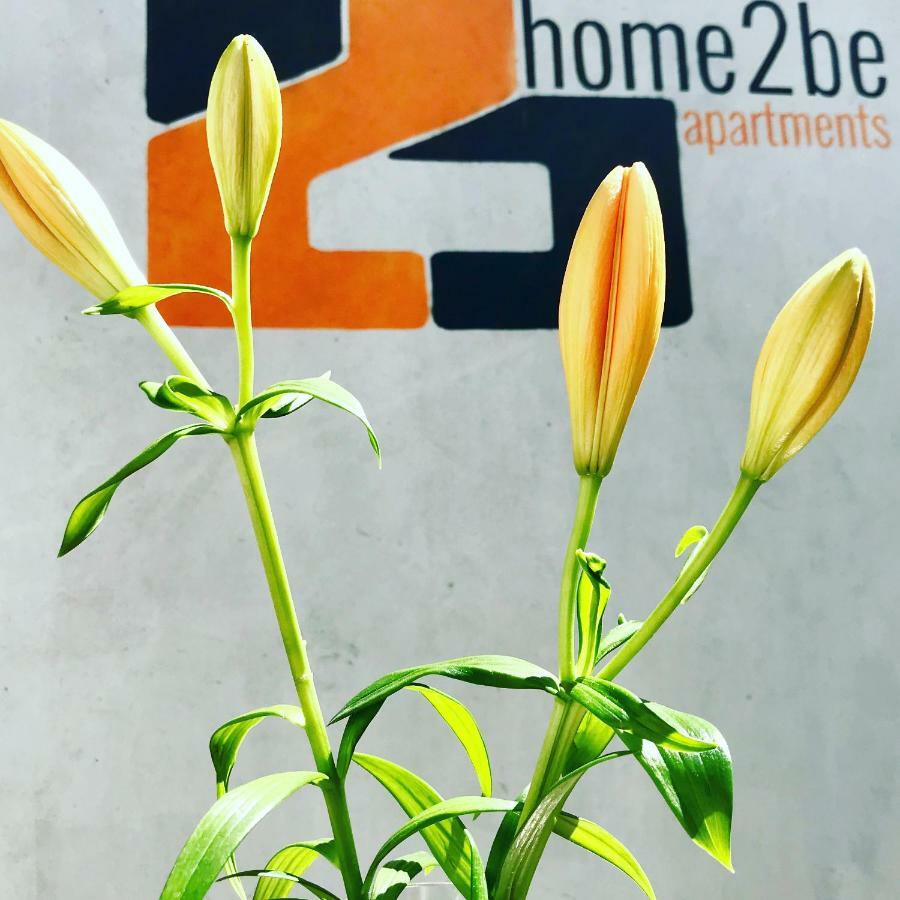Home2Be Apartments Wuppertal Exterior foto